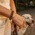 Zweireihiges Edelsteinarmband aus Tigerauge bei einem Spaziergang – stilvolle Alltagsszene mit Hund